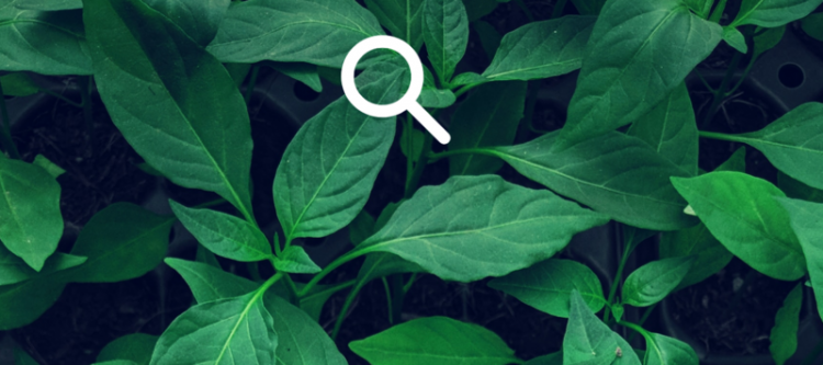 【JS】CSS中的混合模式,制作高级特效的必备技巧 【JS】CSS中的混合模式,制作高级特效的必备技巧