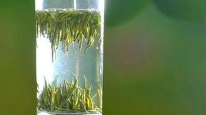 安化松针属于什么茶类