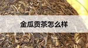 金瓜贡茶怎么样?