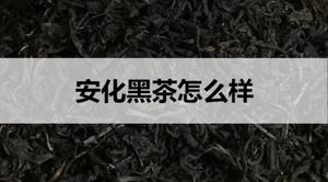 <span style='color:red;'>安化黑茶怎么样</span>?