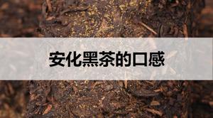 安化黑茶的口感怎么样?