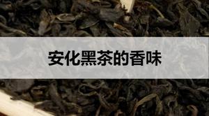 安化黑茶的香气什么样?