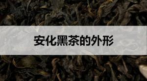 安化黑茶的外形什么样?