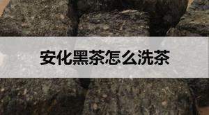 安化黑茶怎么洗茶?