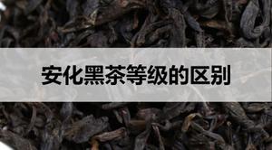 安化黑茶等级的区别