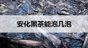 <span style='color:red;'>安化黑茶</span>能泡几泡?