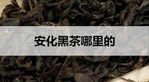 安化黑茶是哪里的?
