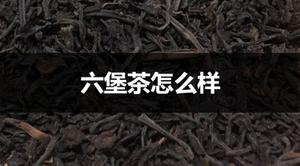 六堡茶怎么样?