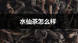 水仙茶怎么样?