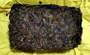 安化黑茶和雅安藏茶的不同